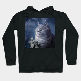 Missy British Shorthair Cat Hoodie